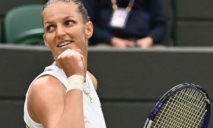 Pliskova cumple y avanza a semifinales de Wimbledon