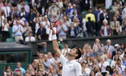 Wimbledon: Djokovic va por 20mo Slam, Berrettini por el 1ro