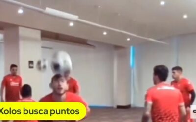 Xolos necesita puntos lo antes posible