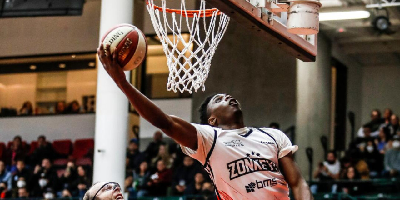 Zonkeys abre serie ante Venados este martes Auditorio Zonkeys