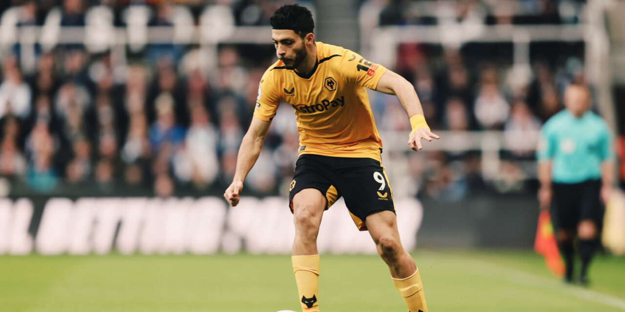 Wolves cayeron ante Newcastle