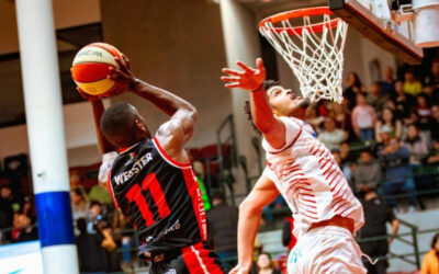 Zonkeys enfrentará a Ostioneros por 4ta. Ocasión en playoffs