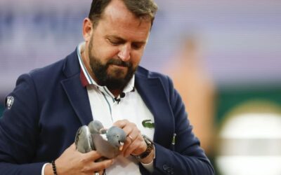 Juez de silla rescata a paloma en el Abierto de Francia