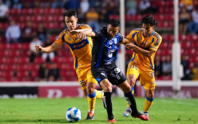 Gallos da campanada tras vencer a Tigres