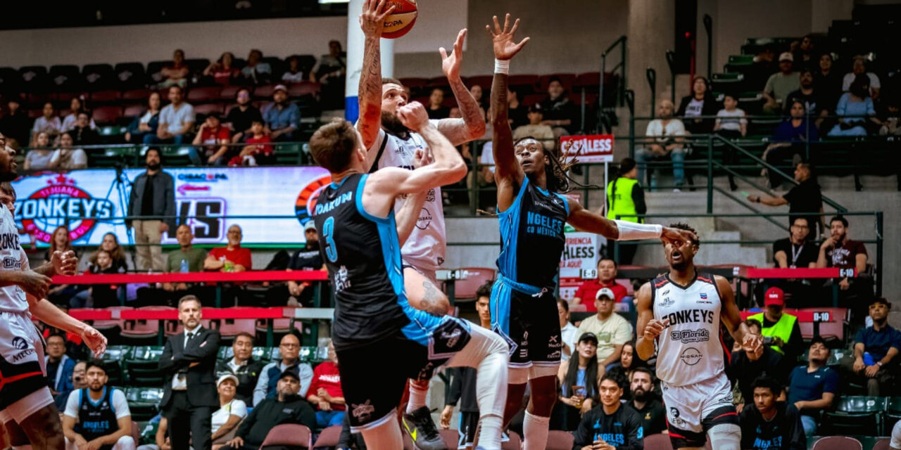 Zonkeys, a un triunfo de la gran final