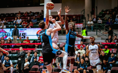 Zonkeys, a un triunfo de la gran final