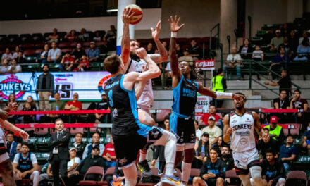 Zonkeys, a un triunfo de la gran final