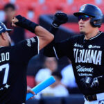 Toros gana su decimoquinta serie ante Olmecas