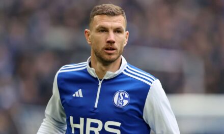Edin Džeko decide quedarse otro año para el regreso del Schalke a la Bundesliga