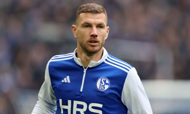 Edin Džeko decide quedarse otro año para el regreso del Schalke a la Bundesliga